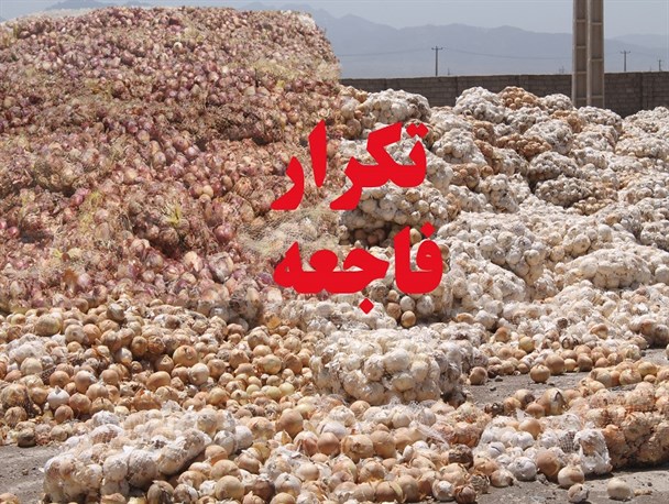 دپو غیر اصولی اینبار  پیاز را قربانی کرد+تصاویر