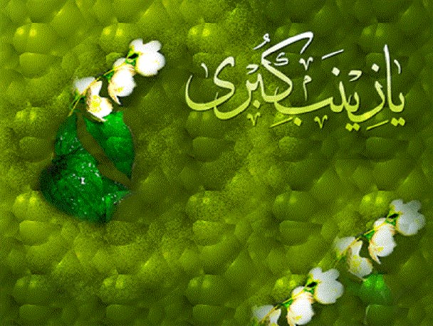 صبر بانوی کربلا در مادر فرمانده جواد هویدا است