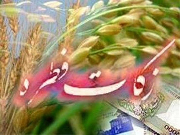 زکات فطریه هر کرمانشاهی پنج هزار تومان است