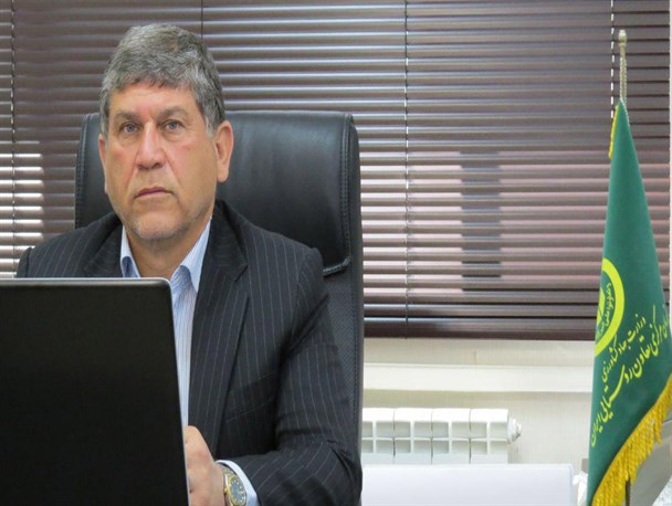 بیش از ۷ هزار تن سیب زمینی از کشاورزان گلستانی خریداری شده است