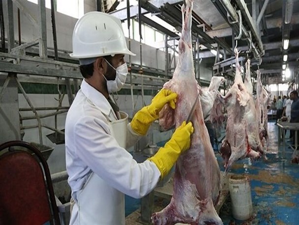 بی توجهی به توسعه ظرفیت‌های کشتارگاهی مسئولان را دست به دامان همسایگان کرد/ نبود زیرساخت؛ دلیل روند کند خرید دام عشایر