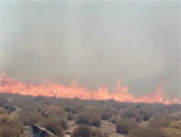 آتش سوزی مراتع اطراف روستای میمند بعد از 12 ساعت مهار شد+ تصاویر