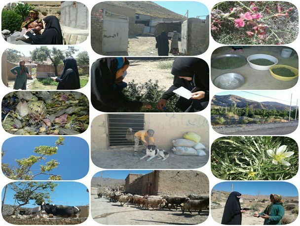 آموزش برای خوداشتغالی بانوان در اردوهای جهادی خراسان شمالی