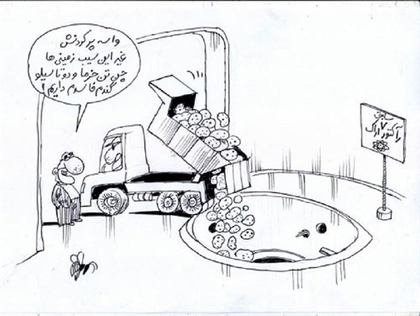 سیب زمینی برجام