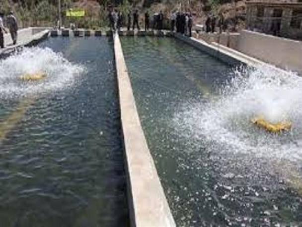 رهاسازی 570 هزار قطعه ماهی سرمابی و گرمابی در استخرهای دو منظوره کشاورزی تربت حیدریه