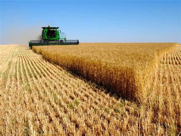 ثبت‌نام طرح‌های کشاورزی قزوین در سامانه بهین یاب آغاز شد