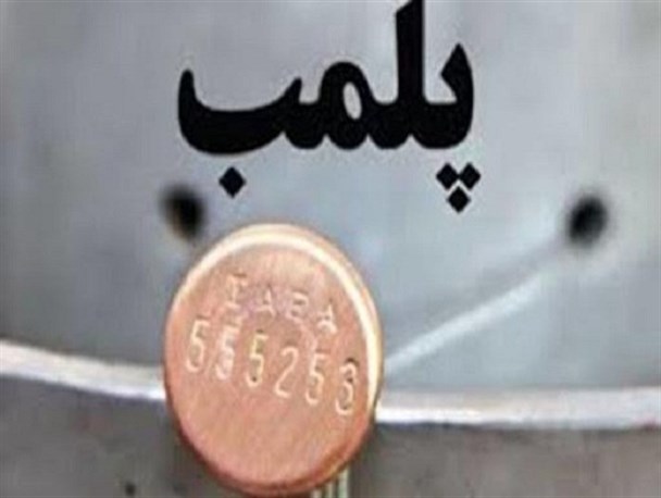 ۴۵ واحد عرضه مرغ زنده در دلفان پلمب شد