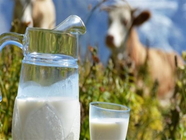 مردم لبنیات پاستوریزه مصرف کنند/ ادامه واکسیناسیون دام‌ها علیه "تب مالت" تا آبان