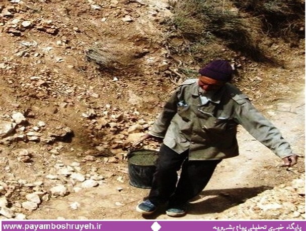 دستان زحتمکشی که دیده نمی شوند+تصاویر