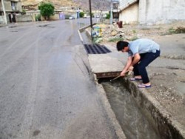 سومین بارش تابستانه باران در چرام به روایت تصویر