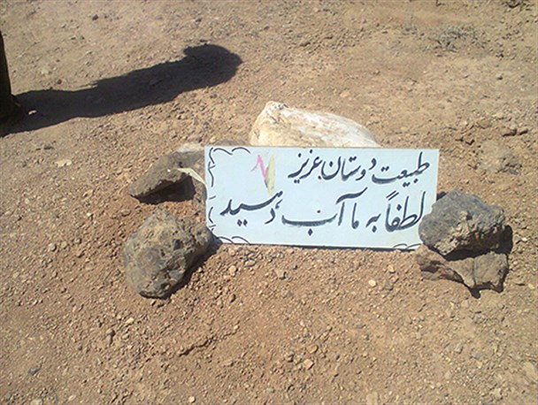طبیعت دوستان عزیز: لطفاً به ما آب دهید