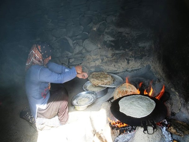 ساجها همیار طبیعت شدند