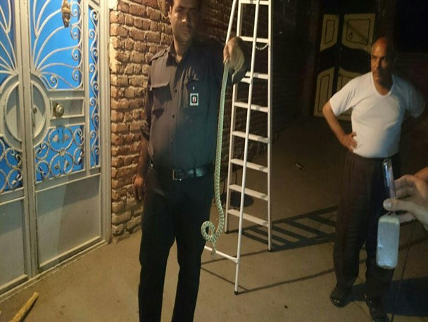 باز هم مارگیری در آذرشهر