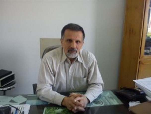 قراردادهای نوع «آی پی سی» در تقابل با برنامه های اقتصاد مقاومتی است