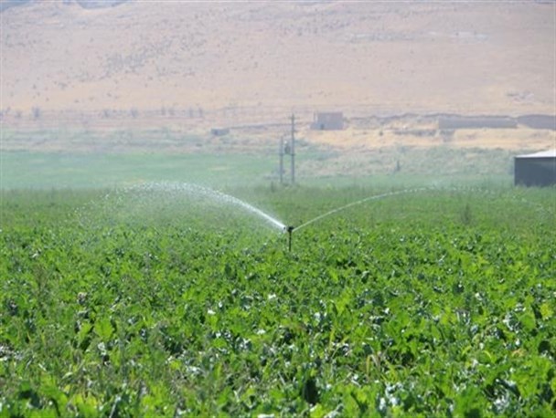 بهره برداری از آبیاری تحت فشار در اراضی کشاورزی میاندوآب آغاز شد + تصاویر