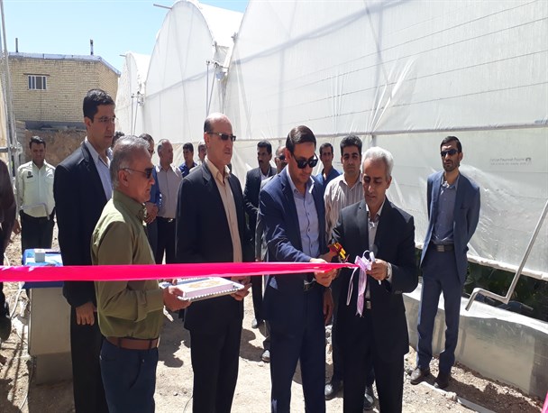 بهره برداری از یک واحد صنعتی گلخانه سبزی و صیفی در بخش پشتکوه شهرستان نی ریز
