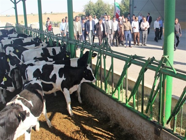 طرح توسعه واحد پرورش گاو شیری روستای یسرلو افتتاح شد