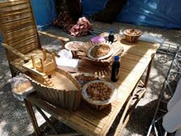 "هامین" شکرانه برداشت رطب در جنوب سیستان و بلوچستان/ گردشگری کشاورزی باعث توسعه زیر ساخت ها می شود