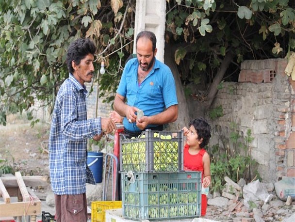 عکس: بازار خرید و فروش انجیر در استهبان‌