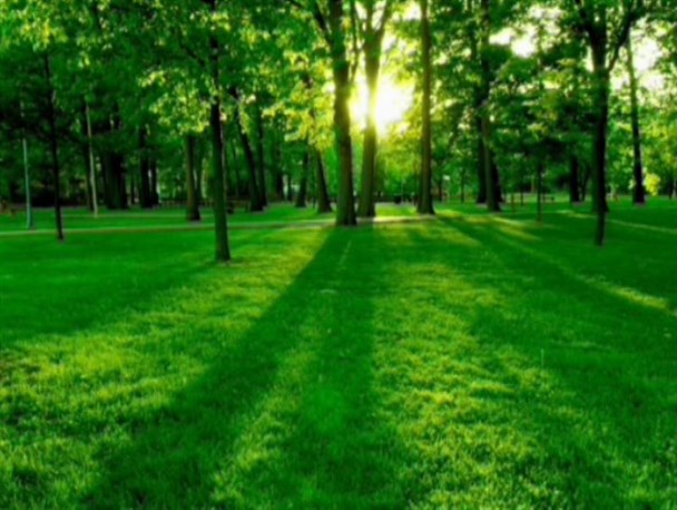 سیستم آبیاری زیرسطحی فضای سبز در اراک اجرا شد