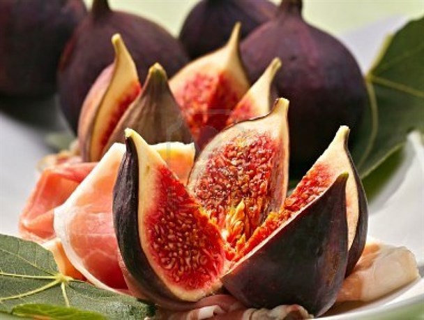 ظرفیت بالای کازرون در حوزه گردشگری و تولیدات باغی مورد توجه قرار گیرد