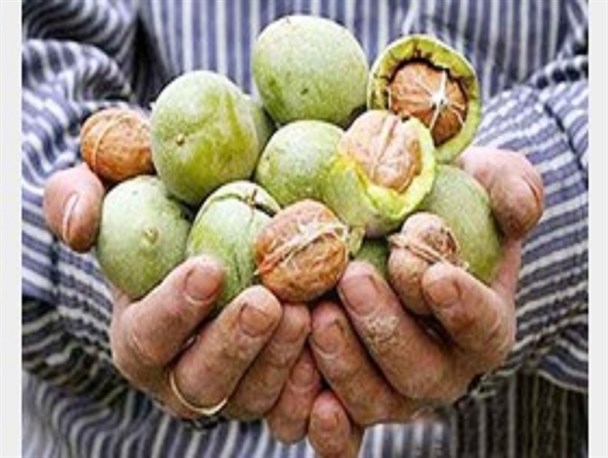 دلالان، دست بازار گردو را در پوستش گذاشتند