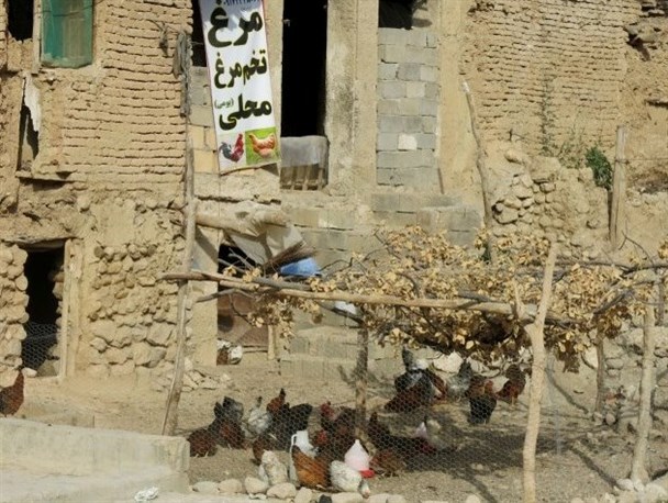 خود اشتغالی و کارآفرینی پلی به سوی رفع محرومیت/ خودکفایی بیش از 9هزار خانواردر کهگیلویه و بویراحمد+تصاویر