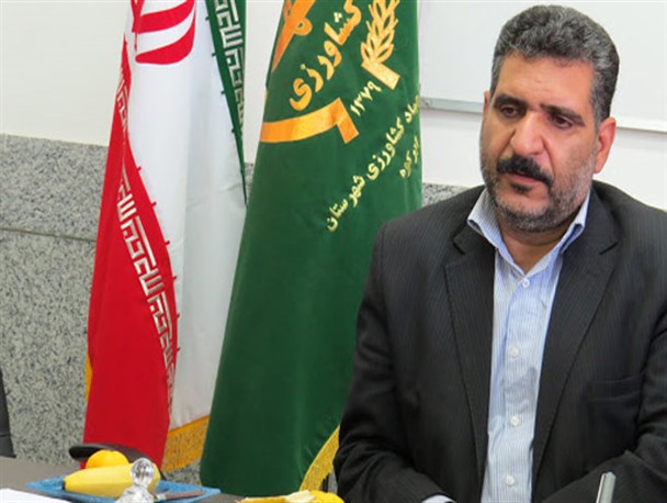 راه اندازی صنایع تبدیلی خرما در بافق/ کارخانه تولید خوراک دام در بافق  احداث می شود