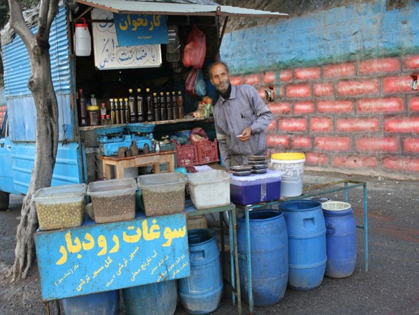 زیر و بن قیمت زیتون – بازاریان درست می گوید یا مسئولان / دست دلالان در جیب باغداران زیتونکار رودباری
