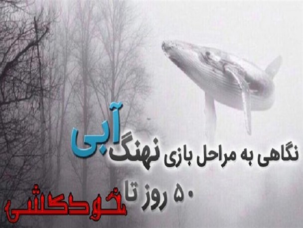 بازی نهنگ آبی از جنس تخریب روحیه ایمانی و اعتماد به نفس/ ضرورت احساس تکلیف والدین در برابر فرزندان