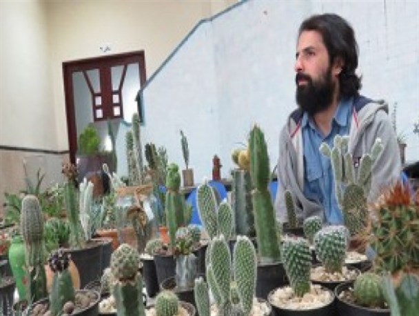 گلایه تولیدکنندگان از نیمه‌کاره ماندن پایانه گل و گیاه عباس‌آباد و آشفتگی بازار +فیلم