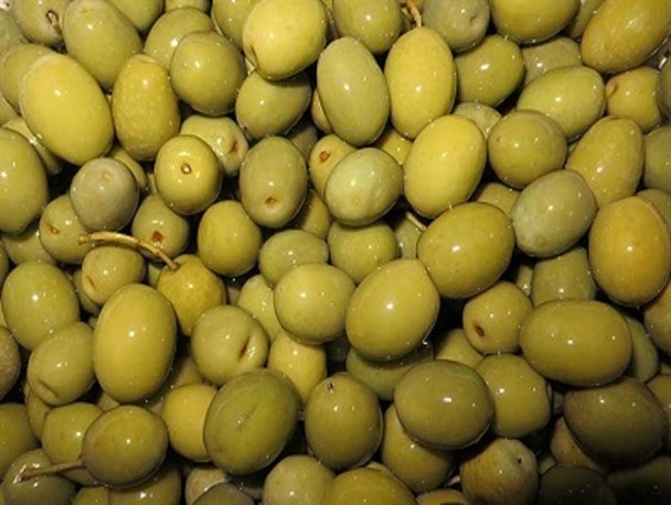 زحمت برای زیتون کاران، سود برای دلالان!/ واردات روغن زیتون با ارز دولتی کمر زیتون کاران را خم کرد