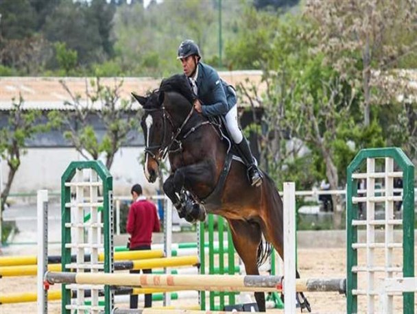 انجام تست سرمی برای تشخیص بیماری "مشمشه"/ اسب‌های ایرانی طبق استانداردهای بهداشتی در مسابقات جهانی حاضر هستند