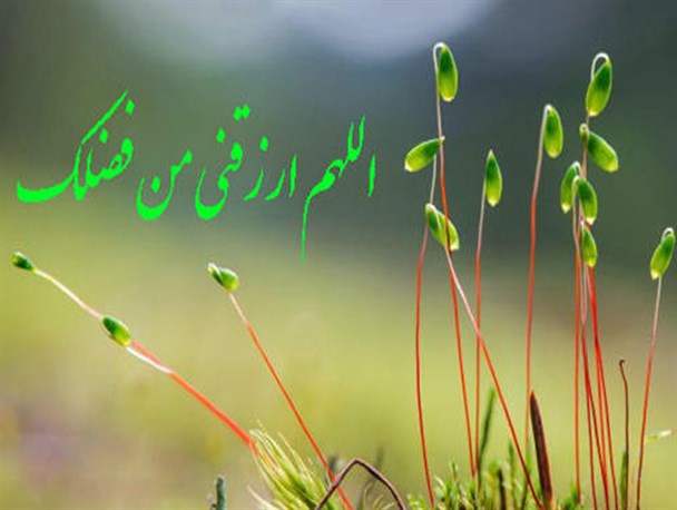 درآمدهای نامشروع منشأ مفاسد اجتماعی است/ بیکاری مداوم مفسده انگیز است