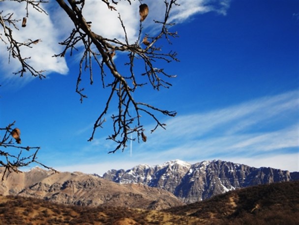 زیبایی های پارک جنگلی یاسوج در یک روز زمستانی +تصویر