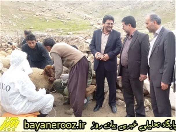 دامپزشکی پلدختر به نیروی انسانی و تجهیزات اداری نیاز دارد
