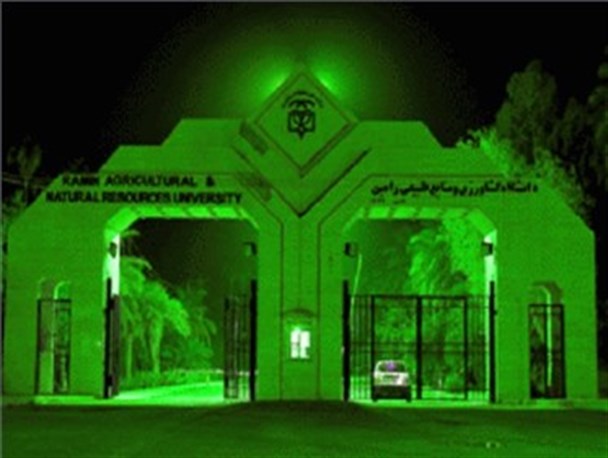 برگزاری کارگاه آموزشی ارزیابی آموخته های دانشجویان در دانشگاه ملاثانی