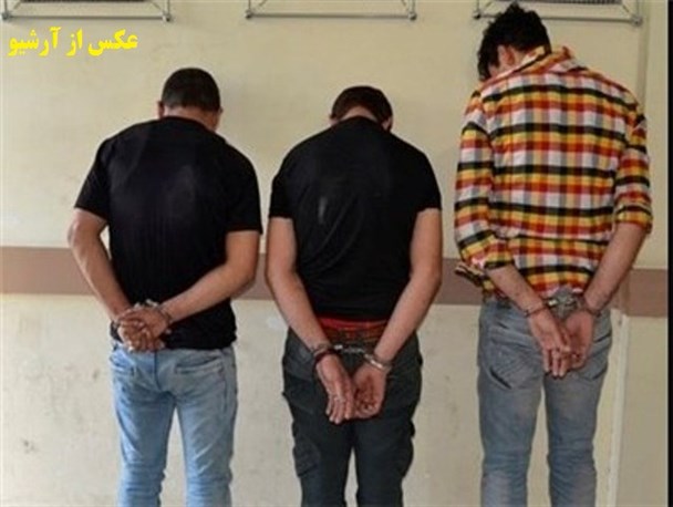 دستگیری باند 3 نفره سرقت احشام، زعفران و منازل در گناباد