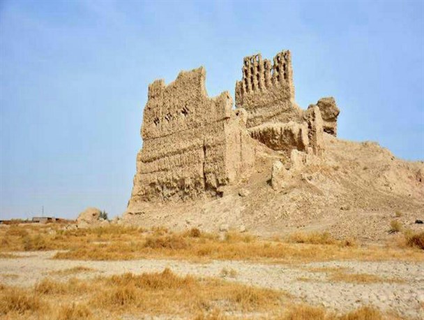 زمزمه های نابودی کهنترین آسباد تاریخ بشریت/انتظار درمان آسباد رنده پانزده ساله شد