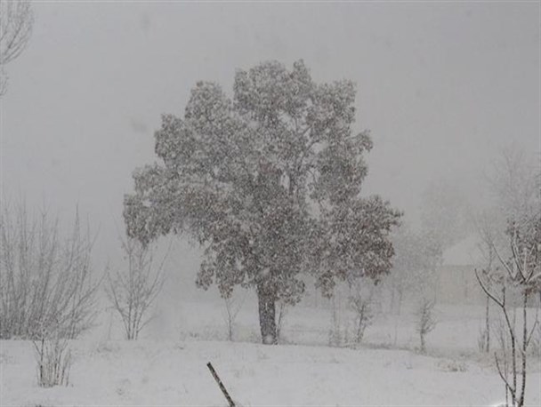 بارش برف در ارومیه