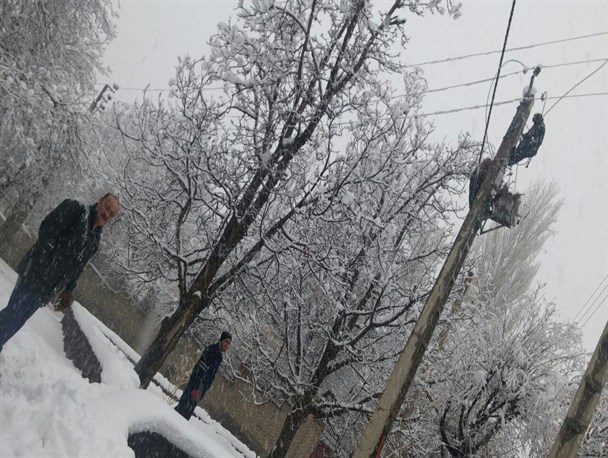 شکسته شدن شاخه‌های درختان و ریزش سنگین برف عامل قطعی برق در منطقه دماوند/ برطرف شدن ۹۰ درصد از خاموشی‌های برق