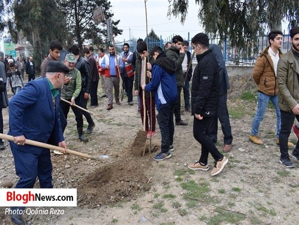 آغاز طرح میراث ماندگار در سیمرغ