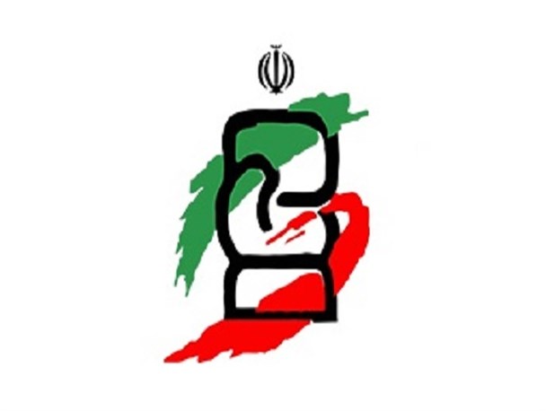 سرپرست دبیری فدراسیون بوکس منصوب شد