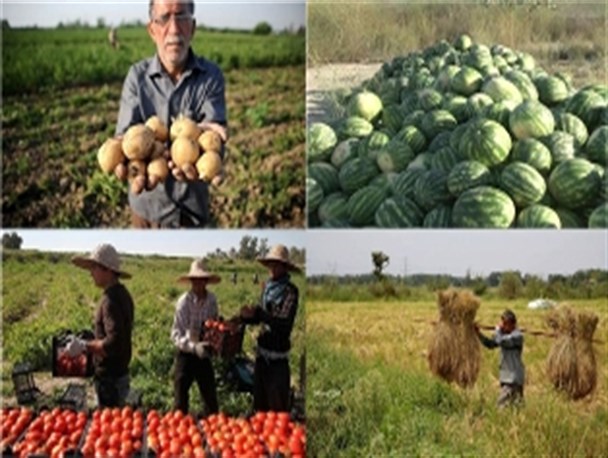 از نبود مشتری برای سیب زمینی اردبیل تا ورشکستگی هندوانه کاران در کرمان!