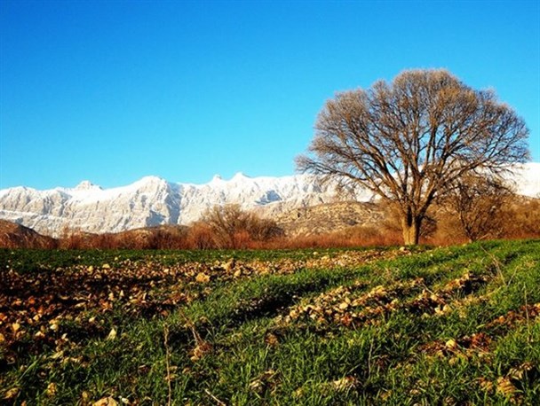 روستای کریک بهشتی گم شده در دامنه دنای سرافراز + تصویر