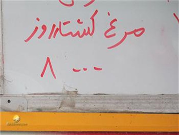یکی از عوامل گرانی مرغ عدم حمایت دولت از مرغدارهاست/مرغ روز را گران می کنند تا مردم مرغ منجمد وارد شده در بازار را بخرند
