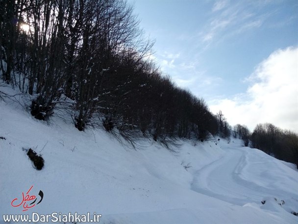 برف آخرین ماه زمستان دیلمان را مهیای آمدن بهار کرد+گزارش تصویری