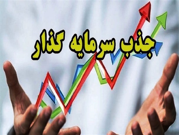 چرا بخش های خصوصی تمایل به سرمایه گذاری در کوثر ندارند؟!