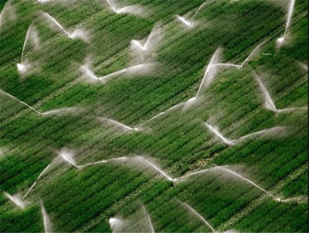 طرح آبیاری قطره ای در شهرستان ماهنشان اجرا می شود/ عدم استقبال کشاورزان برای آبیاری قطره ای