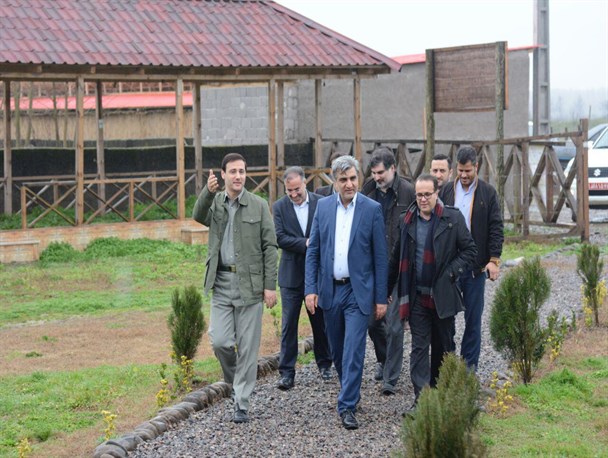 استاندار گیلان از مرکز اکوتوریستی روستای جیرسر باقرخاله چوکام بازدید کرد + تصاویر